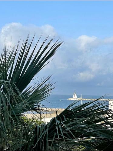 Apartamento La Grande-motte : Studio Vue Mer Centre-ville