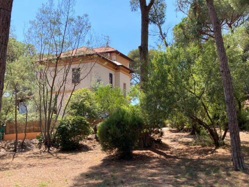 Apartamento Studio Dans Une Belle R�sidence Class�e
