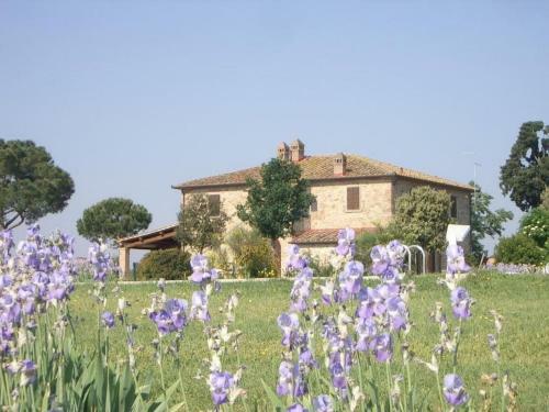 Agroturismo Agriturismo Brolio Quinto