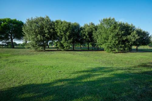 Agroturismo Agriturismo Brolio Quinto