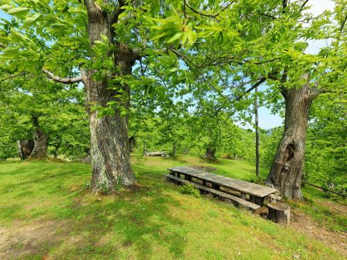 Apartment Il Poggio I Greve In Chianti