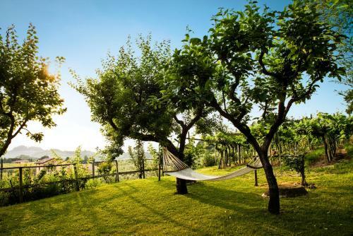 Agroturismo Corte Delle Cicale