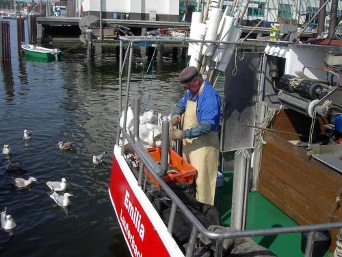 Apartamento Villa Emma Sassnitz