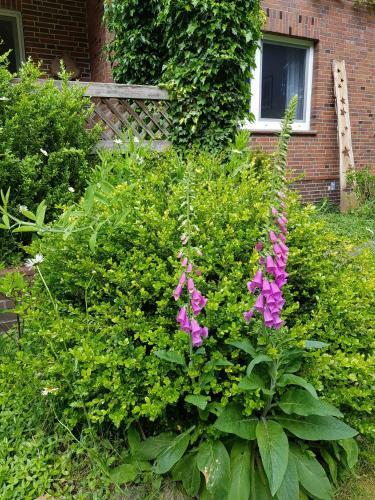Apartamento Ferienwohnung Im Naturgarten