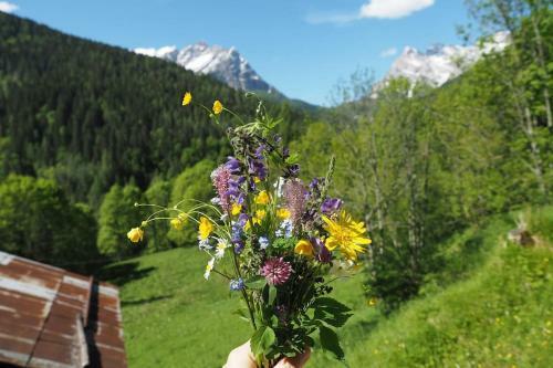 Apartamento Dalla Dora- A Peaceful Place In The Dolomites