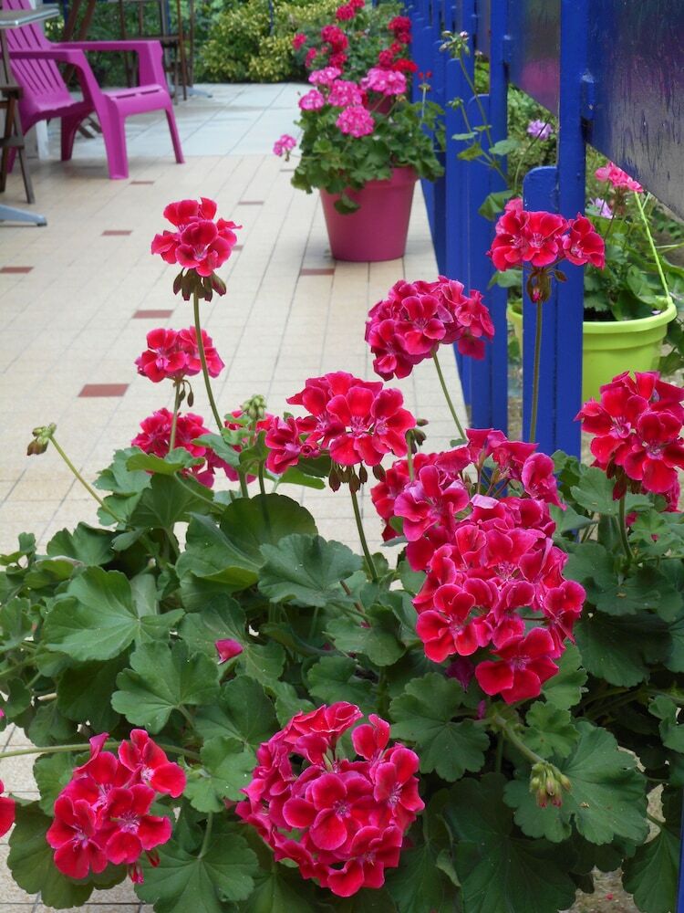 Hotel Les Gens De Mer La Rochelle