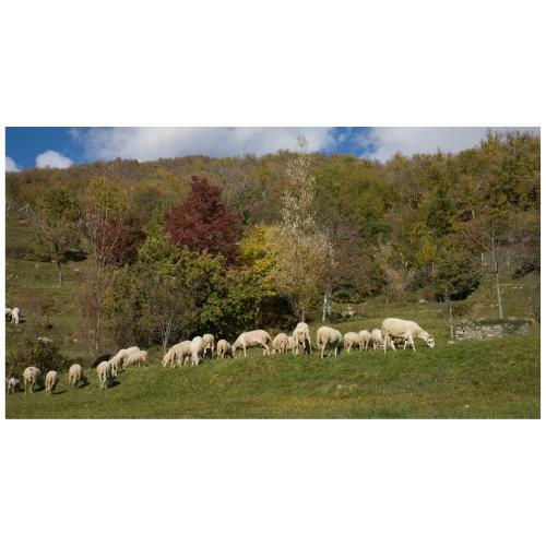 Agroturismo Montagna Verde