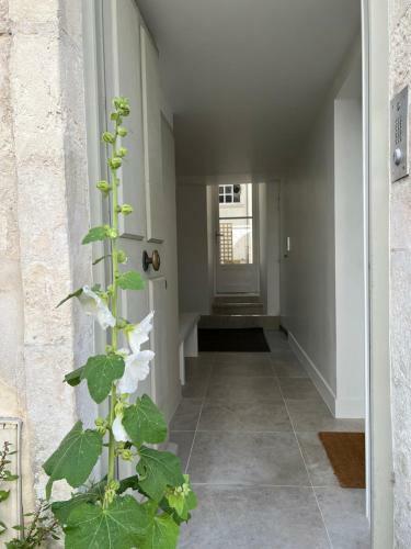 Apartamento L'escale