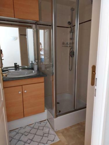Apartamento Le Cosy Des Minimes