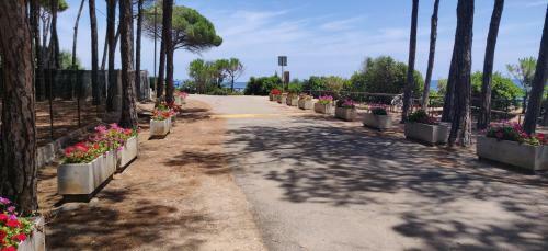 Villetta In Pineta