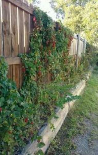 4 Bed Cozy Cowboy Home-weekly Rates! 2 Mi To Post