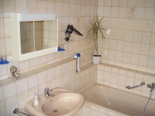 Apartamento Ferienwohnung Am Busterbach