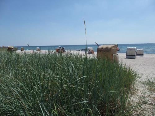 Apartamento Strandresidenz Sierksdorf Nr 13