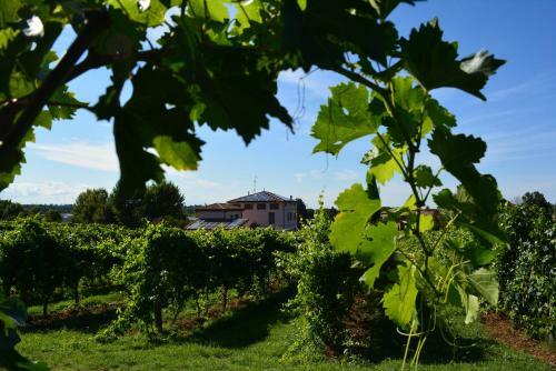 Agroturismo Le Stanze Di Bacco