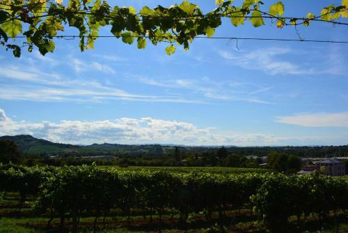 Agroturismo Le Stanze Di Bacco
