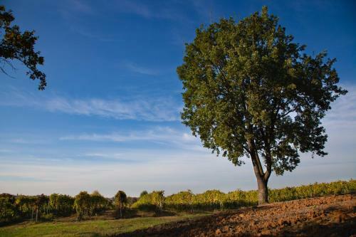 Agroturismo Le Stanze Di Bacco
