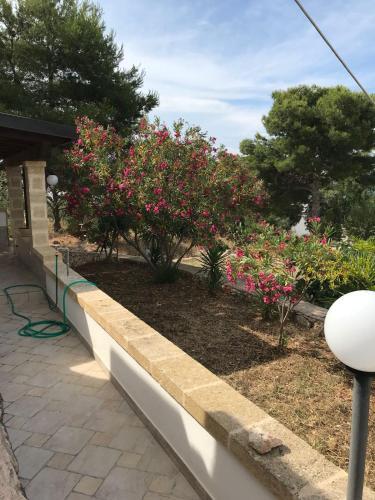 Apartamento Trullo Casa Adriana2