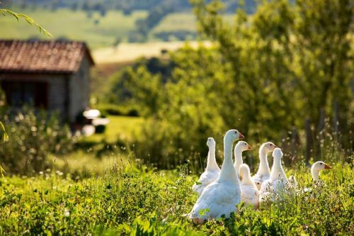 Agroturismo Casetta Tartuchino
