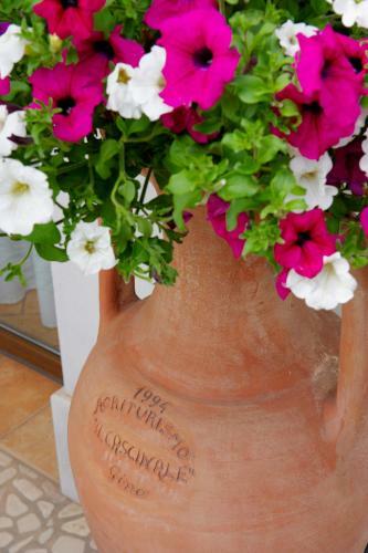 Agroturismo Agriturismo Il Cascinale