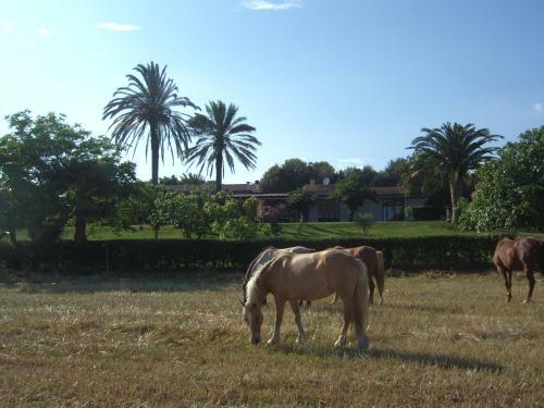 Santa Igia B&B - Country House