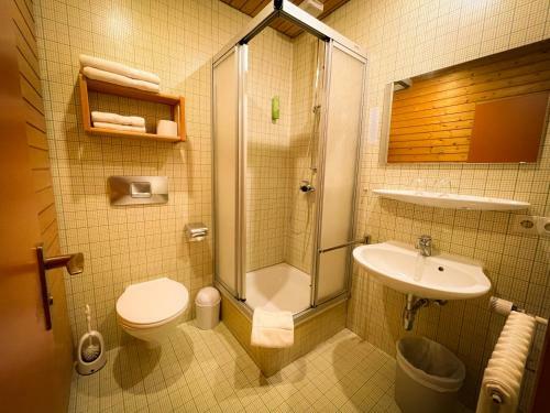 Black Forest Hotel Todtnau