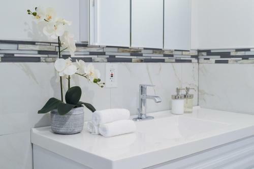 Beautiful 2 Bedroom Apartment With Patio And Deck