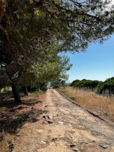Villa Casa Matilde A 100 M Dal Mare