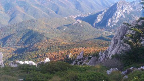 Roulotte En Bois Sud France