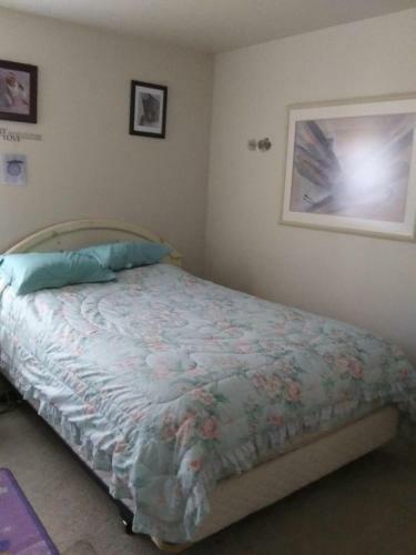 Nice Room In Nice Neighborhood