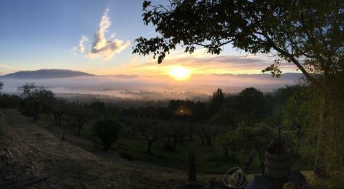 B&B Il Grotto