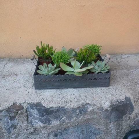 Bella Di Casa Garden