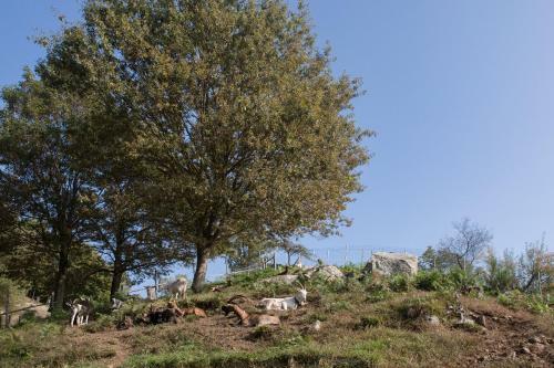 Agroturismo Agriturismo Da Attilio