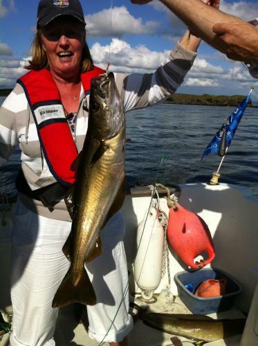 Donegal Estuary Holiday Homes