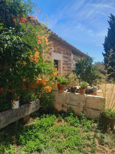 Hostal Le Mas Neuf 30129 Manduel