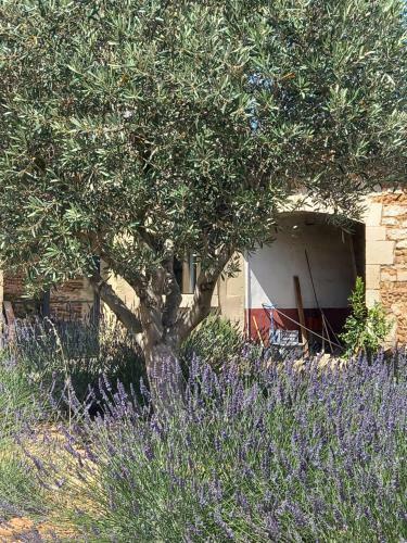 Hostal Le Mas Neuf 30129 Manduel
