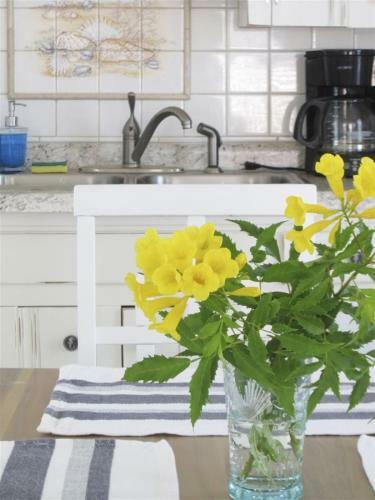 Coastal Cutie - Little Bay Cottage #3