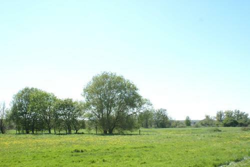 Ferien & Appartementhaus Sonnenberg
