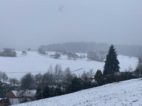 Nibelungen Premium Cottage