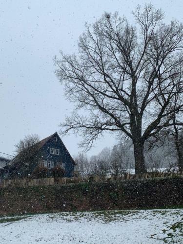 Nibelungen Premium Cottage