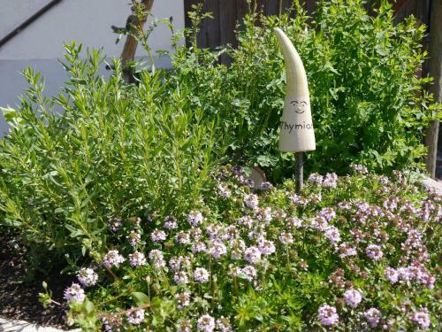 Apartamento Haus Sonnengru�