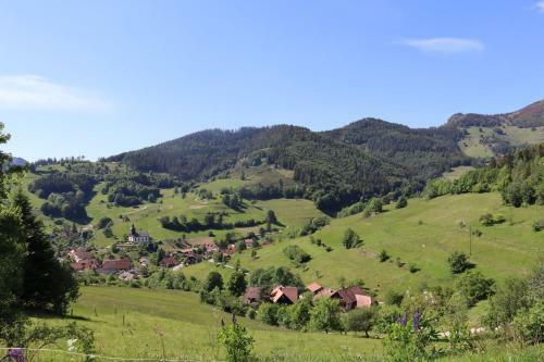 Apartamento Belchenblick 2