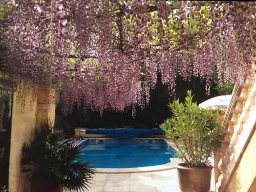 Remarkable 1-bed House In Marseillan