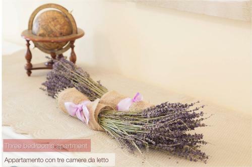 Apartamento Nina Guest House
