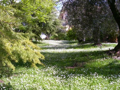 Bed & Breakfast La Vecchia Quercia