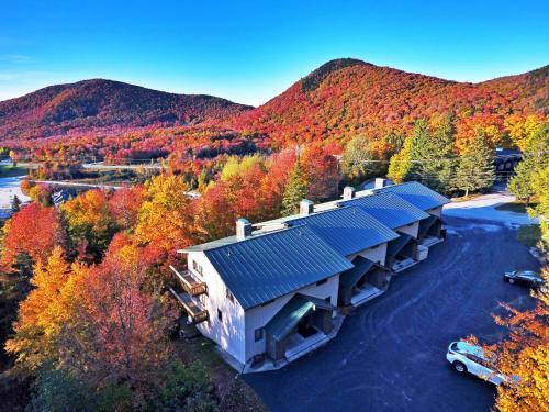 Ski-in And Ski-out Pico Mountain Townhome With Fireplace