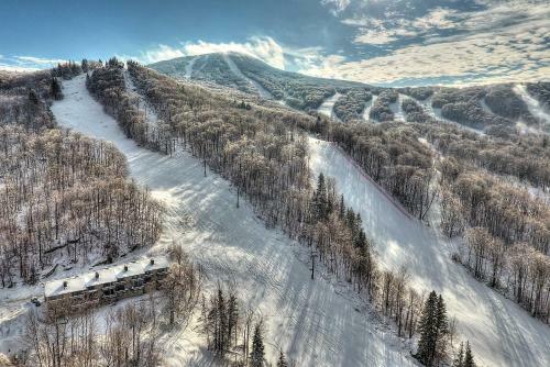 Ski-in And Ski-out Pico Mountain Townhome With Fireplace