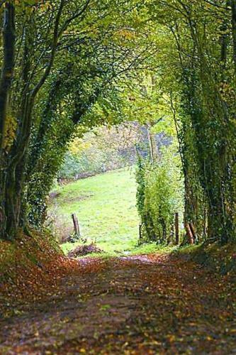 G�te La Tani�re Confort