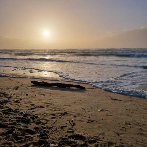 La Cabane De Lagunak~quartier Tr�s Calme