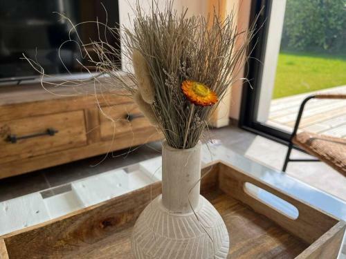 Degemer Mat ! 4* Cosy, Moderne, � 8 Min Des Plages.