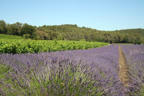 Bed & Breakfast Maison Terre De Lune